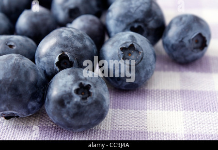 Blueberries photographed in a studio Stock Photo