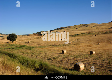 Italy, Basilicata, countryside, Sauro valley, wheat harvested fields in summer Stock Photo