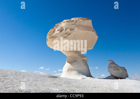 Inselbergs in the White Desert, close to Farafra Oasis, Egypt Africa Stock Photo