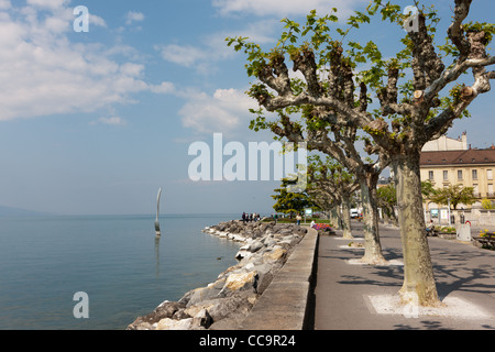 Avenue of plane trees on the shore of Lake Geneva in the town of Vevey, near the city of Montreux, Switzerland. Stock Photo