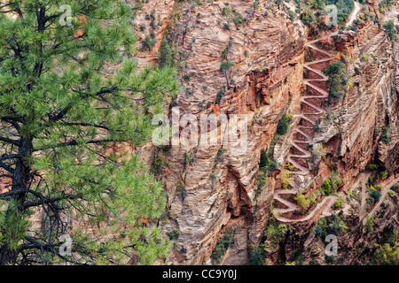 Switchbacks Named Walter’s Wiggles Take Hikers To Scout Lookout And The ...