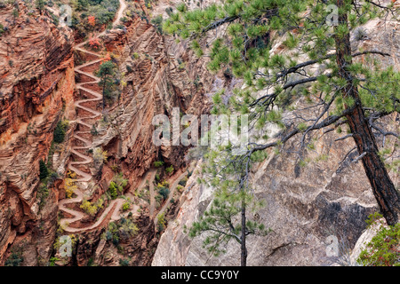 Switchbacks Named Walter’s Wiggles Take Hikers To Scout Lookout And The ...