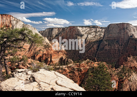 A spectacular view from above Scout Landing of  Angels Landing and the Great White Throne monolith in Utah's Zion National Park. Stock Photo