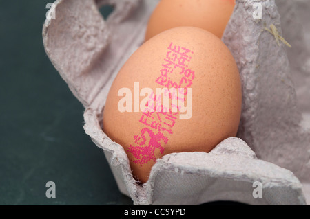 White Chicken Egg Date Stamp Stock Photo by ©dr.lange.unitybox.de