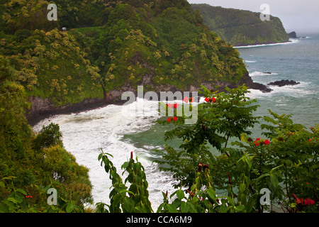 On the Hana Highway, near Hana, Maui, Hawaii. Stock Photo