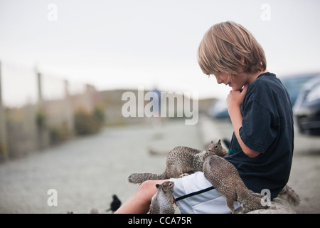 A boy with squirrels in a parking lot Stock Photo
