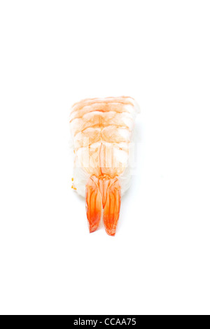A delicious piece of prawn nigiri isolated on white Stock Photo