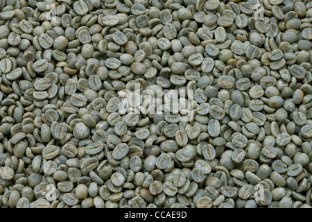 Raw Coffee Beans Stock Photo