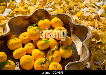 Yuzu Citrus Fruits