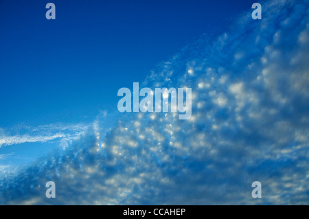 A late afternoon, autumn sky bursts with clouds in the Sonoran Desert, Tucson, Arizona, USA. Stock Photo