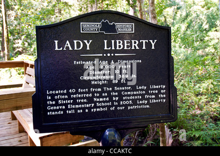 Lady Liberty tree sign for 2000-year-old Florida Champion bald cypress tree, Big Tree Park  Longwood, Florida Stock Photo