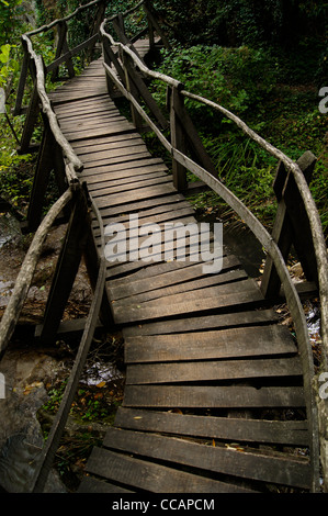 A wooden bridge winding over a stream with lush vegetation Stock Photo