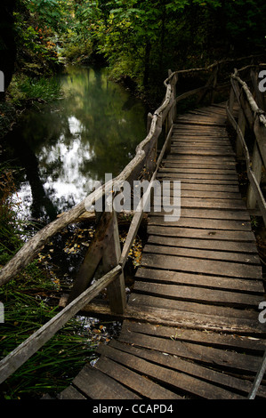 A wooden bridge winding over a tranquil lake with lush vegetation Stock Photo