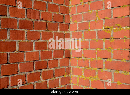red old wall corner background with yellow lichens Stock Photo