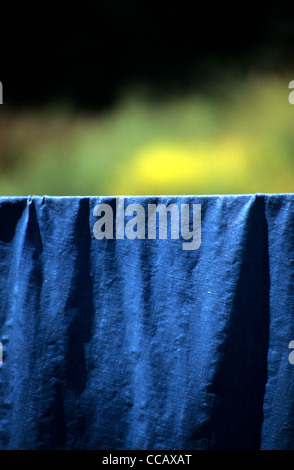 Bleu de Lectoure, isatis tincoria, natural woad dyed material drying outside, Gers France Stock Photo