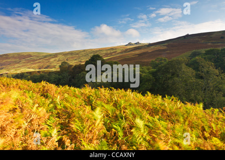 Langlee Crags and the Harthope Valley in the Northumberland Cheviot Hills, England Stock Photo
