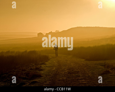 Mountain biker riding across moorland track on Axe Edge in late afternoon sun, Peak District National Park Stock Photo