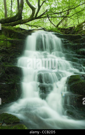 Waterfall in the Birks of Aberfeldy, Perthshire, Scotland. Stock Photo