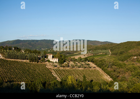 The Tuscan countryside near Castellina in Chianti, Italy. Stock Photo