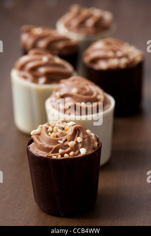 Close-up of delicious chocolate pralines. Studio shot. Stock Photo