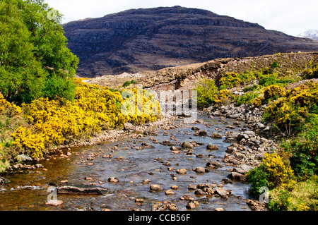 River Torridon,the village,Mountains,Hills,Steep,Walking,Hiking area,Gorse Bushes, Wester Ross,Northwest Highlands,Scotland Stock Photo