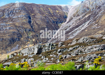 Beinn Aligan,Torridon,Wester Ross,Highlands,Yellow Gorse in Flower, Springtime, North West Scottish Highlands,Scotland Stock Photo