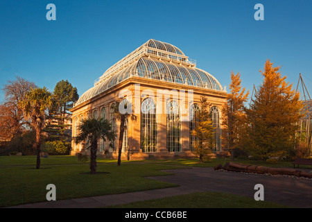 The Palm House, Royal Botanic Garden, Edinburgh Stock Photo - Alamy