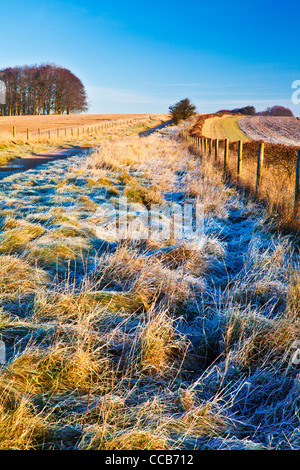 A frosty winter morning over the Ridgeway long distance path at Hackpen Hill, Wiltshire, England, UK Stock Photo