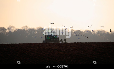 A tractor driver working on the land in winter in North Norfolk. Stock Photo