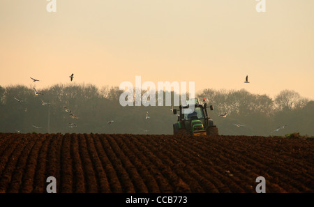 A tractor driver working on the land in winter in North Norfolk. Stock Photo