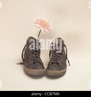 Boots and flower Stock Photo