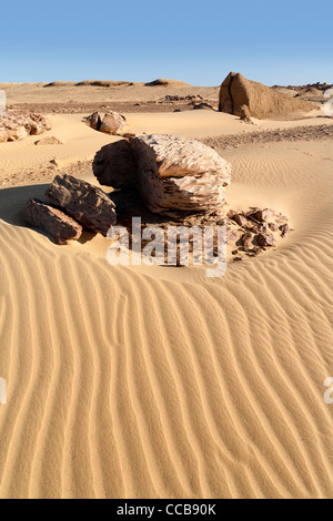 Mud Lion in yardang field Dakhla Oasis Egypt Africa Stock Photo - Alamy