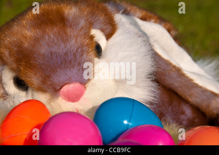 Easter bunny closeup behind pile of plastic colored Easter eggs Stock Photo