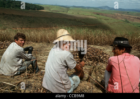 Pernambuco State, Brazil. Sugar cane workers taking a break sitting down looking over hills covered with sugar cane. Stock Photo