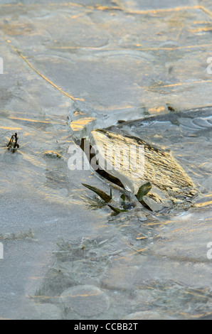 Broken Ice on frozen pond Stock Photo