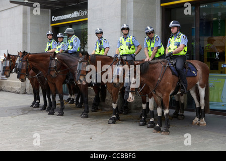 Mounted Police on horses. Western Australia Police Force.