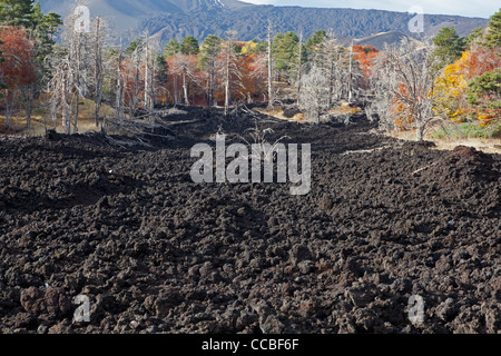 Stream of lava near the Mount Etna, Sicily, Italy Stock Photo