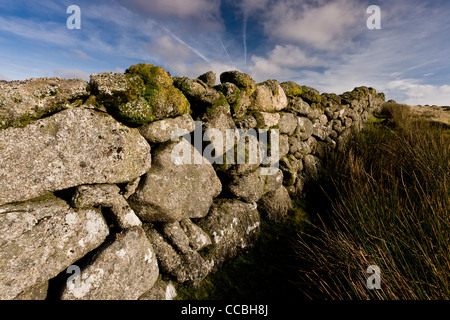 Old granite wall on moorland, West Dart Valley, Dartmoor, Devon. Stock Photo