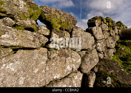 Old granite wall on moorland, West Dart Valley, Dartmoor, Devon. Stock Photo