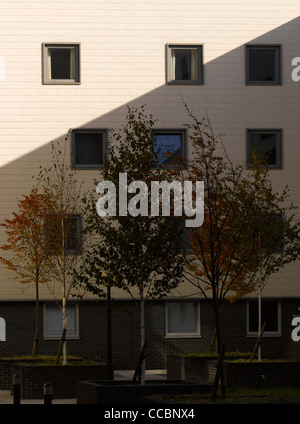 Situated On The Sloping Site Of A 14Th Century Friary, Elements Of Which Have Been Incorporated, This Mixed-Use Development In Stock Photo