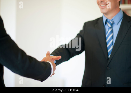 Executives shaking hands Stock Photo