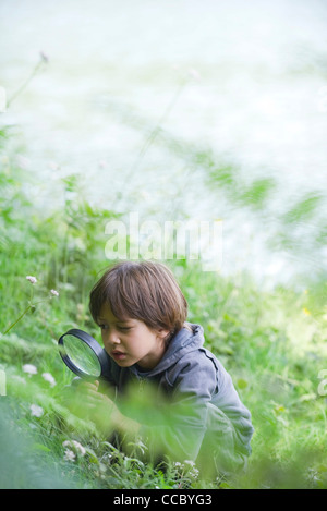 Boy looking at vegetation through magnifying glass Stock Photo