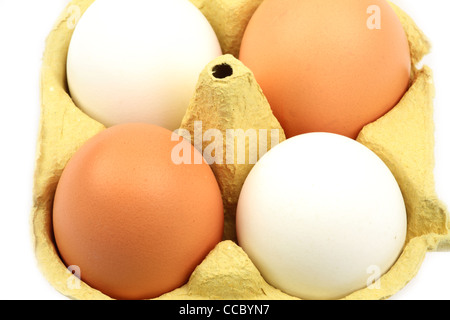 Four eggs in a carton - Close-up in front of white background Stock Photo