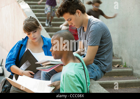 Friends studying together Stock Photo