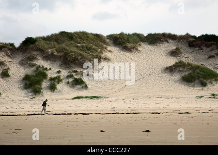 Sand dune at Camusdarach Beach Highland Region Scotland Stock Photo