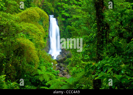 'Mother Falls' - one of the twin Falls of Trafalgar Falls in Morne Trois Pitons National Park, Dominica, West Indies Stock Photo