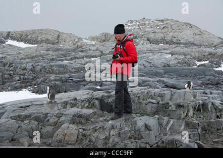 Antarctica, Antarctic Peninsula. Petermann Island. Tourist with Gentoo penguin (Pygoscelis papua). Model released.