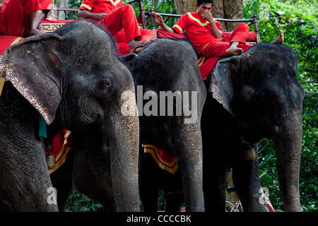 Elephants for tourists and tourist ride, outside Bayon temple, Angkor area, Cambodia, Asia Stock Photo