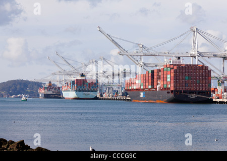 Container ships wait unloading at Port of Oakland - California USA Stock Photo