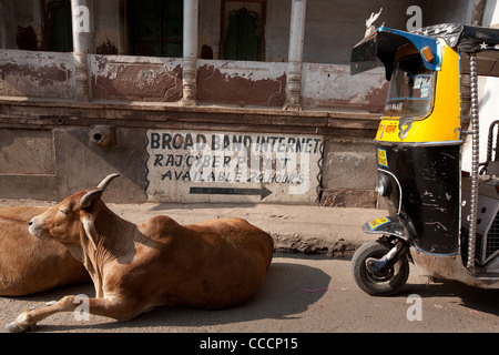 Sign advertising internet access/ internet cafe, in Jodhpur, in Rajasthan, India Stock Photo